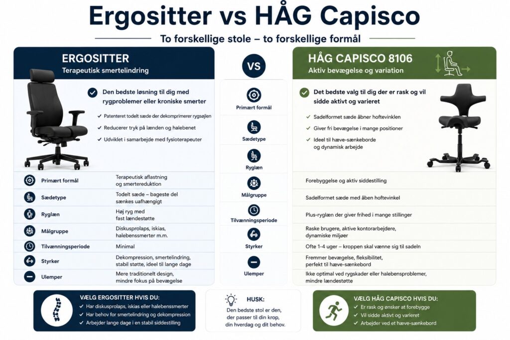 Ergositter Vs HÅG Capisco - Hvilken kontorstol er bedst?